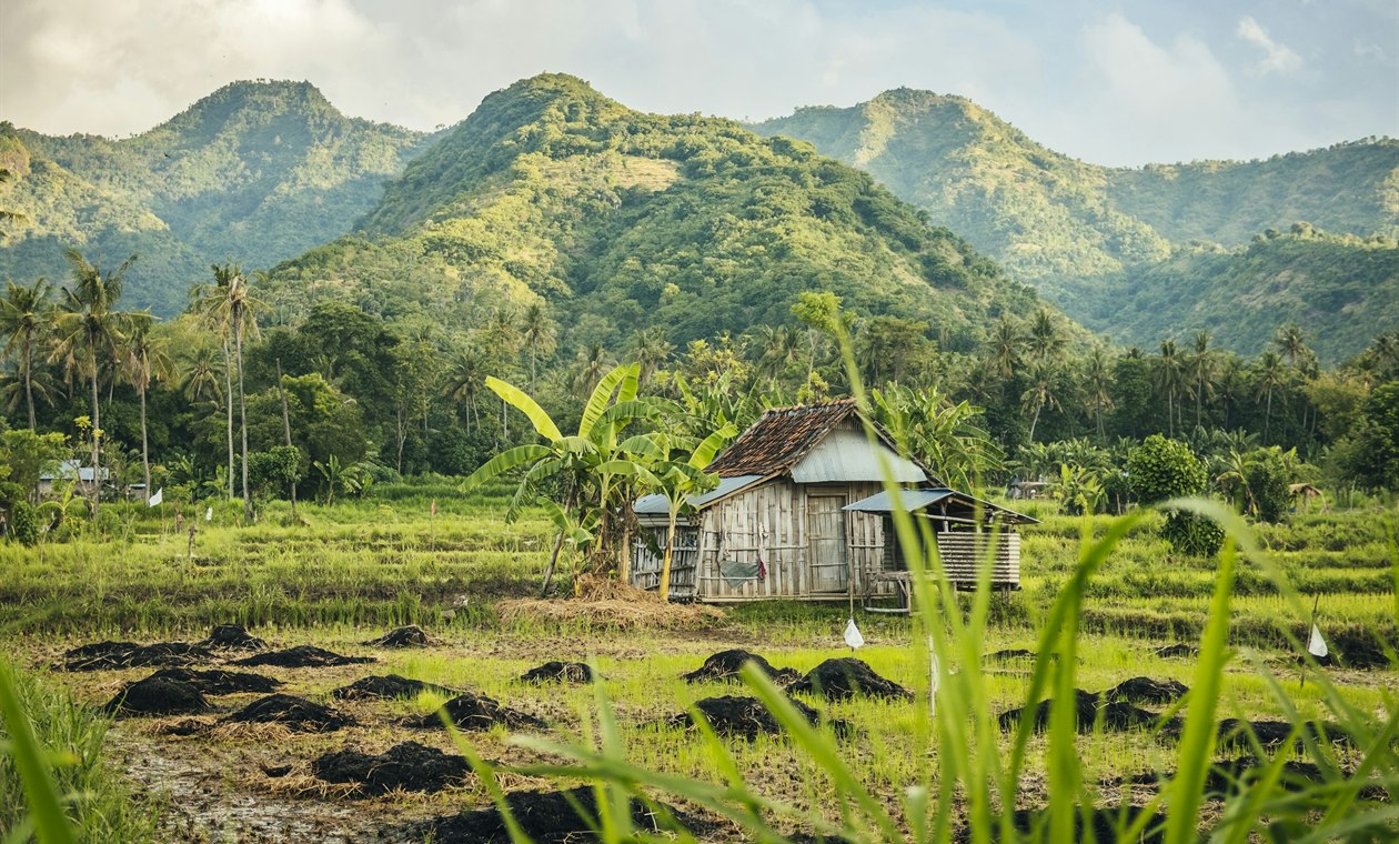 Долгосрочная аренда в Амед, Бали: гид с ценами 2026