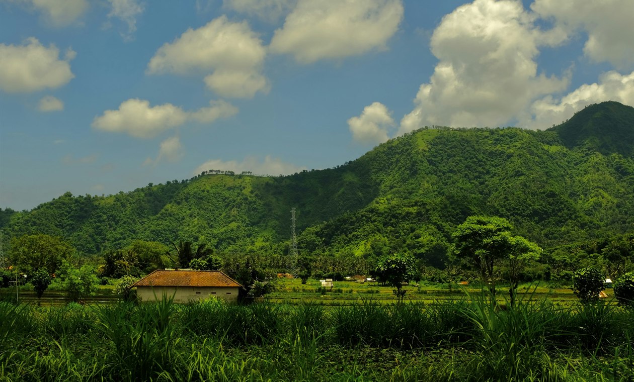 Долгосрочная аренда в Чемаги, Бали — Nuanu, LRT и будущее побережья (гид 2026)