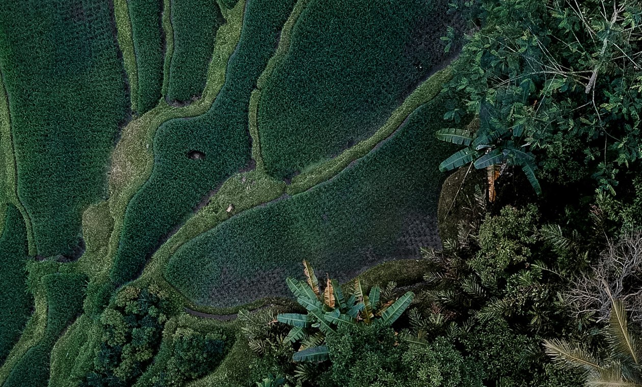 Долгосрочная аренда в Сесех, Бали — следующий Чангу, на 3 года позади (гид 2026)