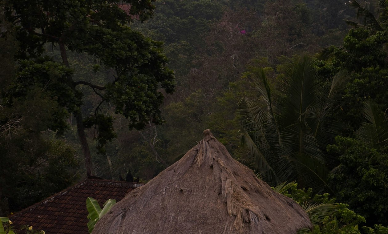Долгосрочная аренда в Табанане, Бали — настоящая изоляция за $800/мес (гид 2026)