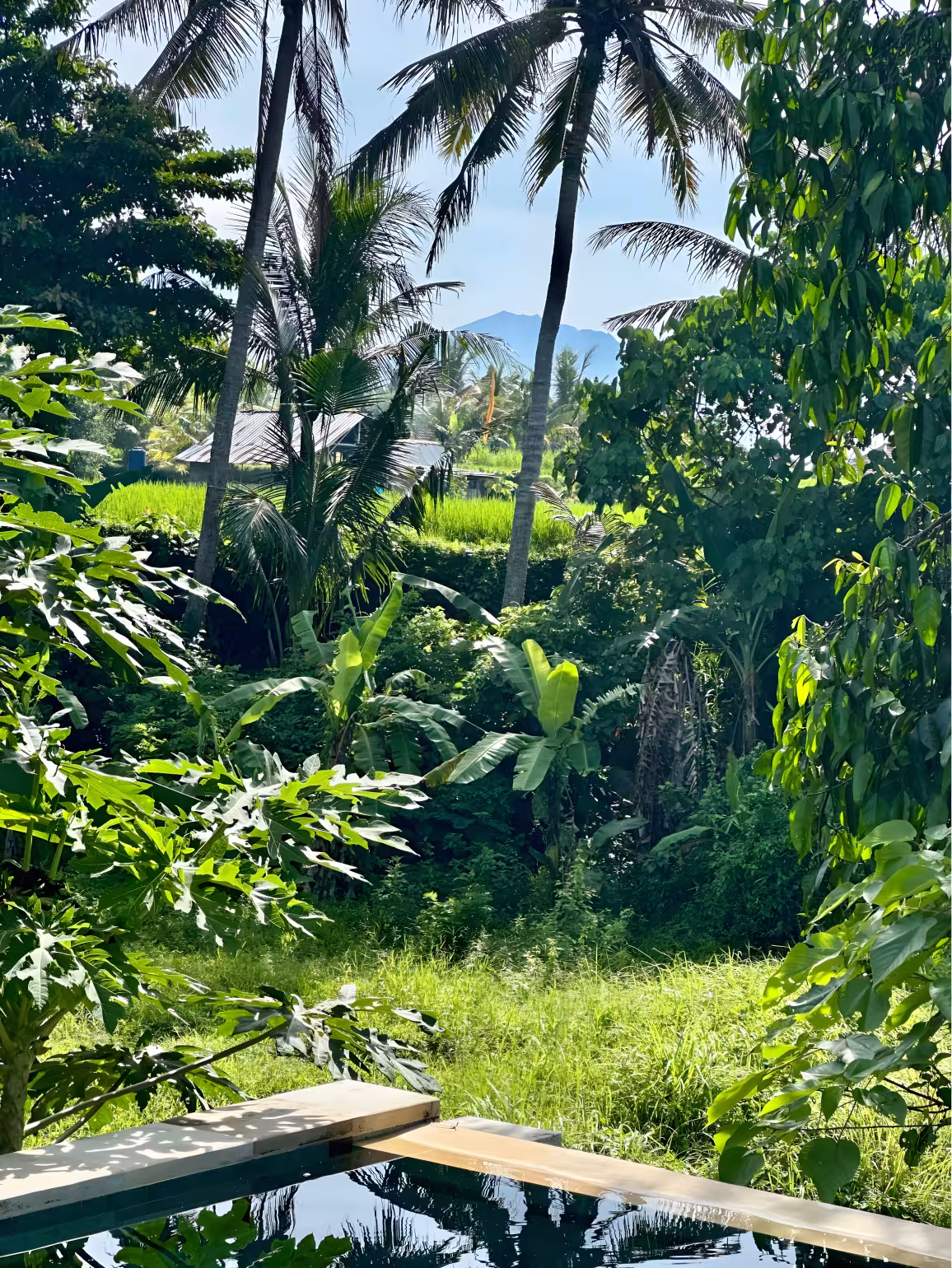 Дом, 1 спальня