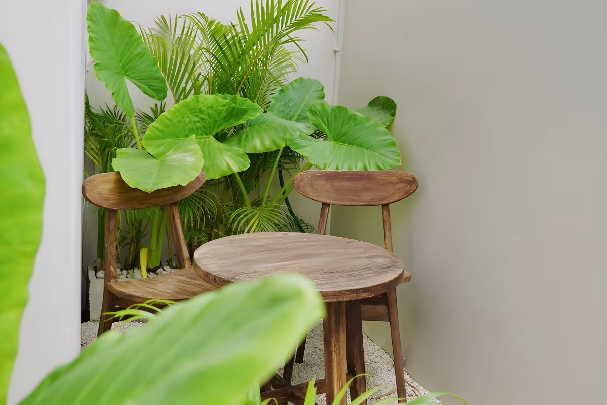 Дом, 1 спальня