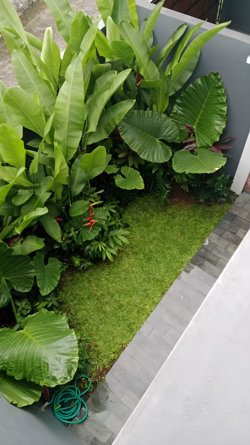 Вилла, 3 спальни