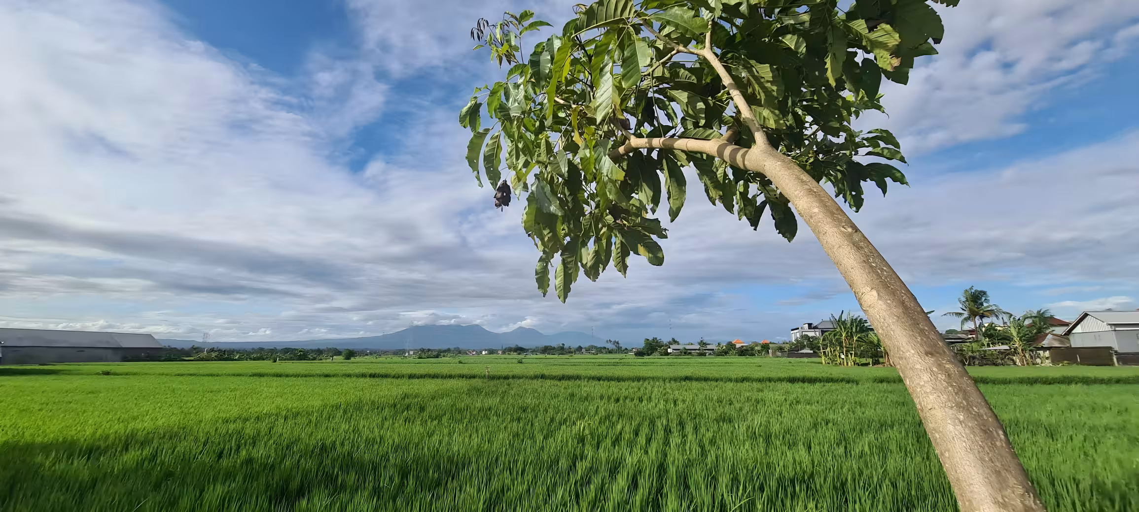 Апартаменты, 2 спальни