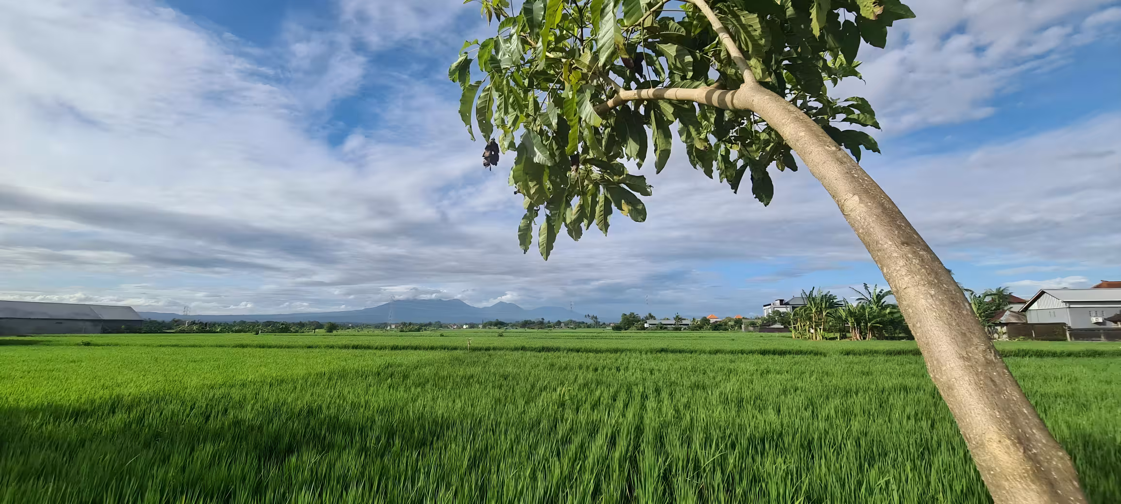 Дом, 1 спальня