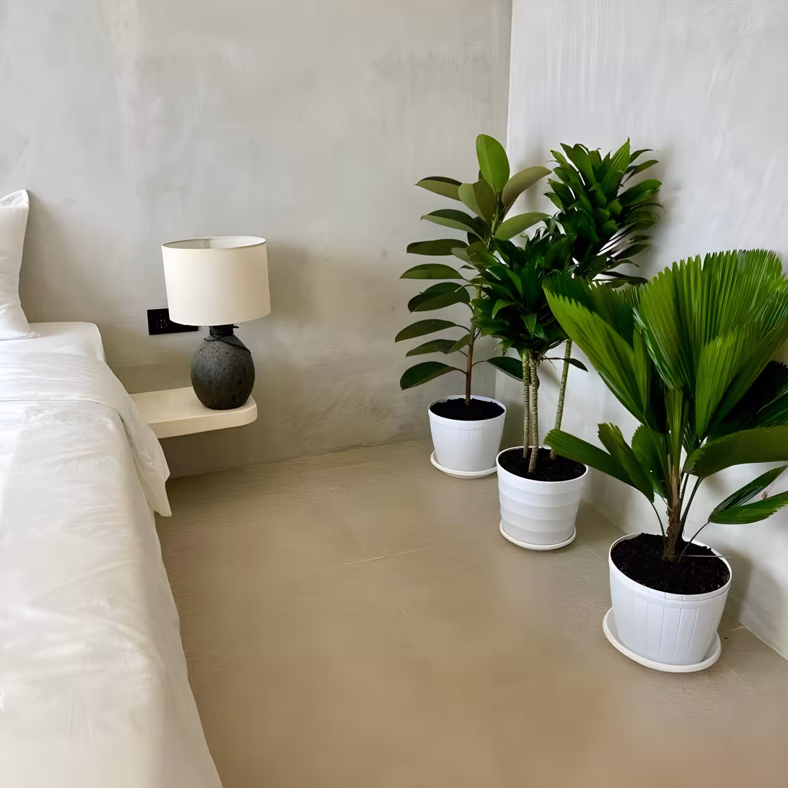 Дом, 1 спальня