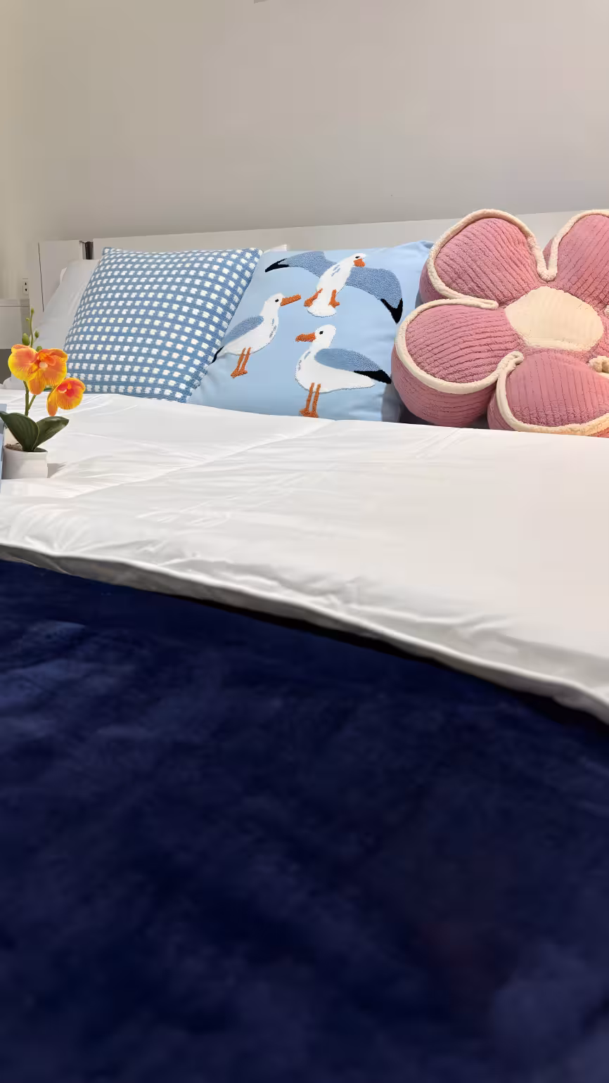 Апартаменты, 1 спальня