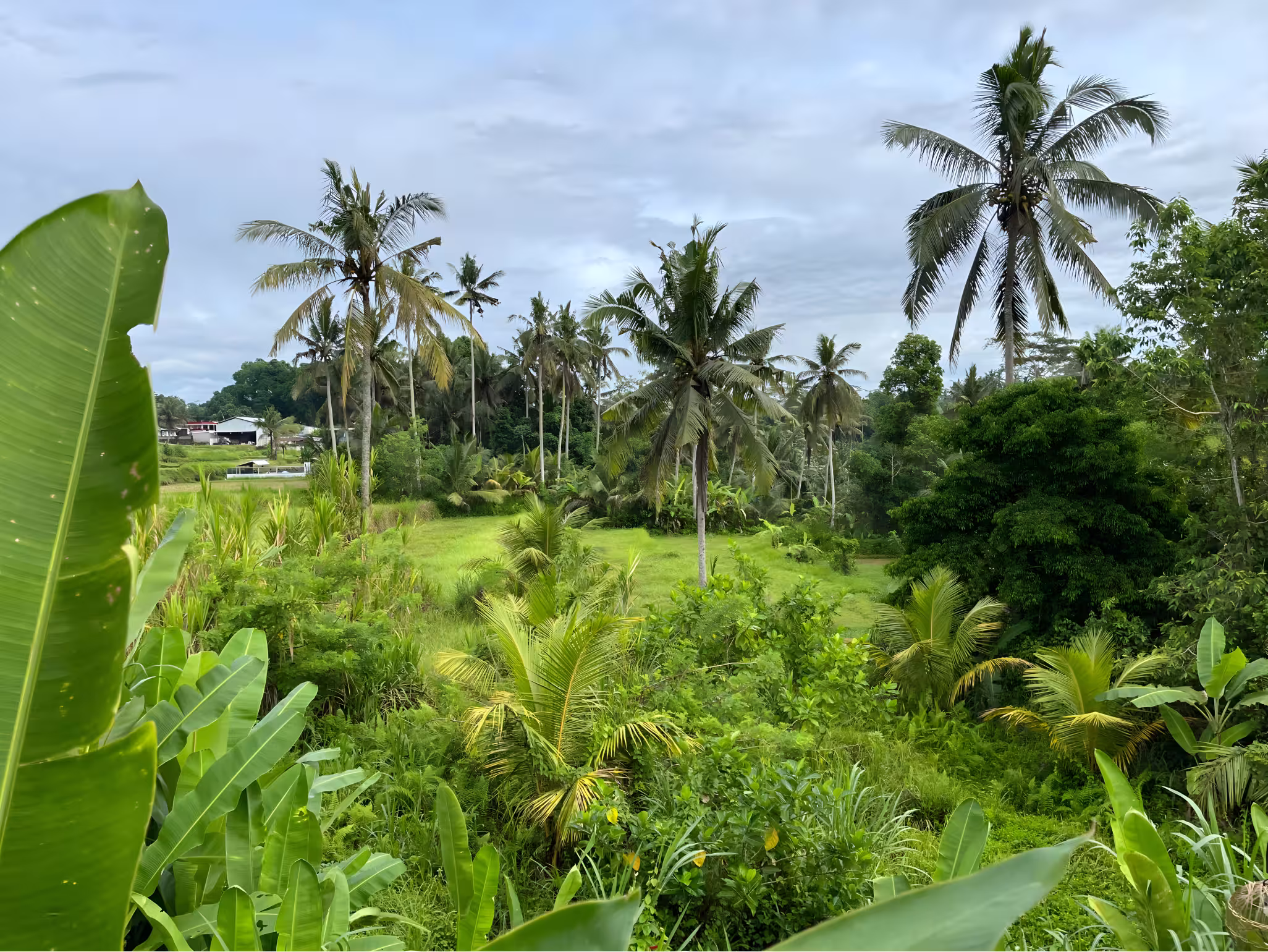 Дом, 1 спальня