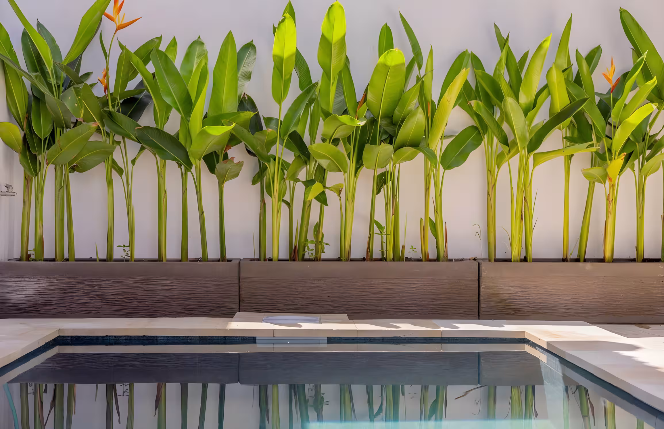 Вилла, 1 спальня