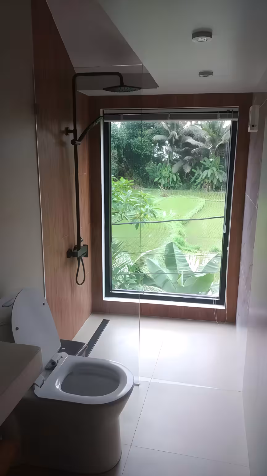 Апартаменты, 1 спальня