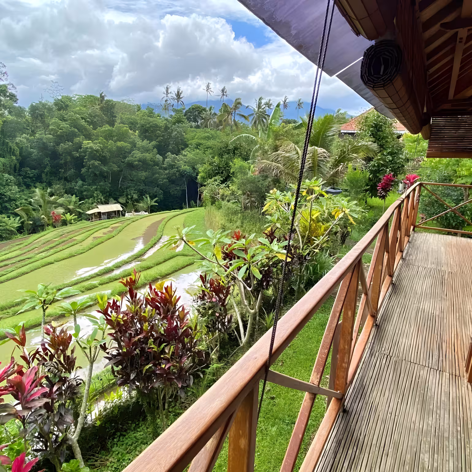 Дом, 1 спальня