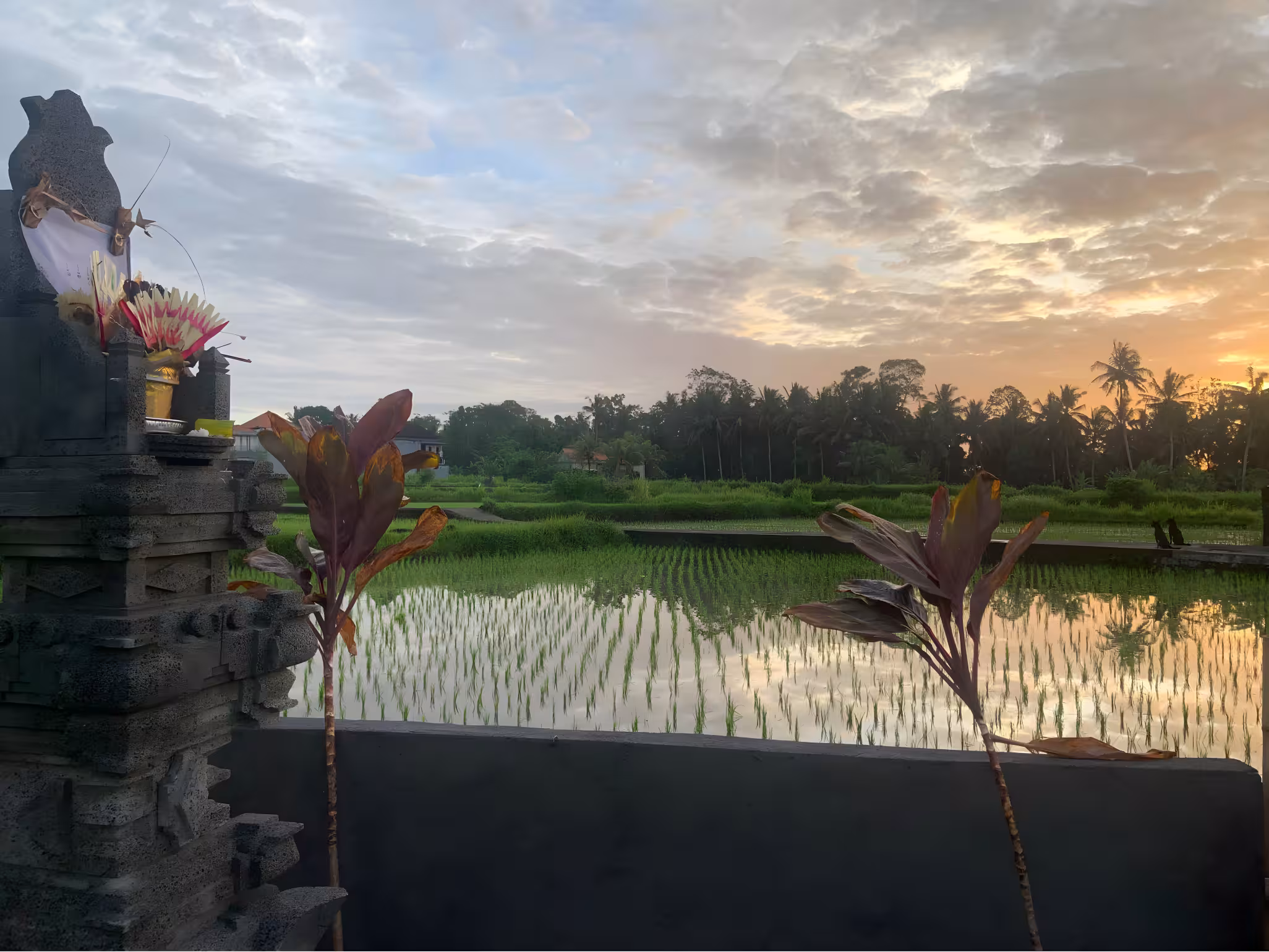 Дом, 2 спальни