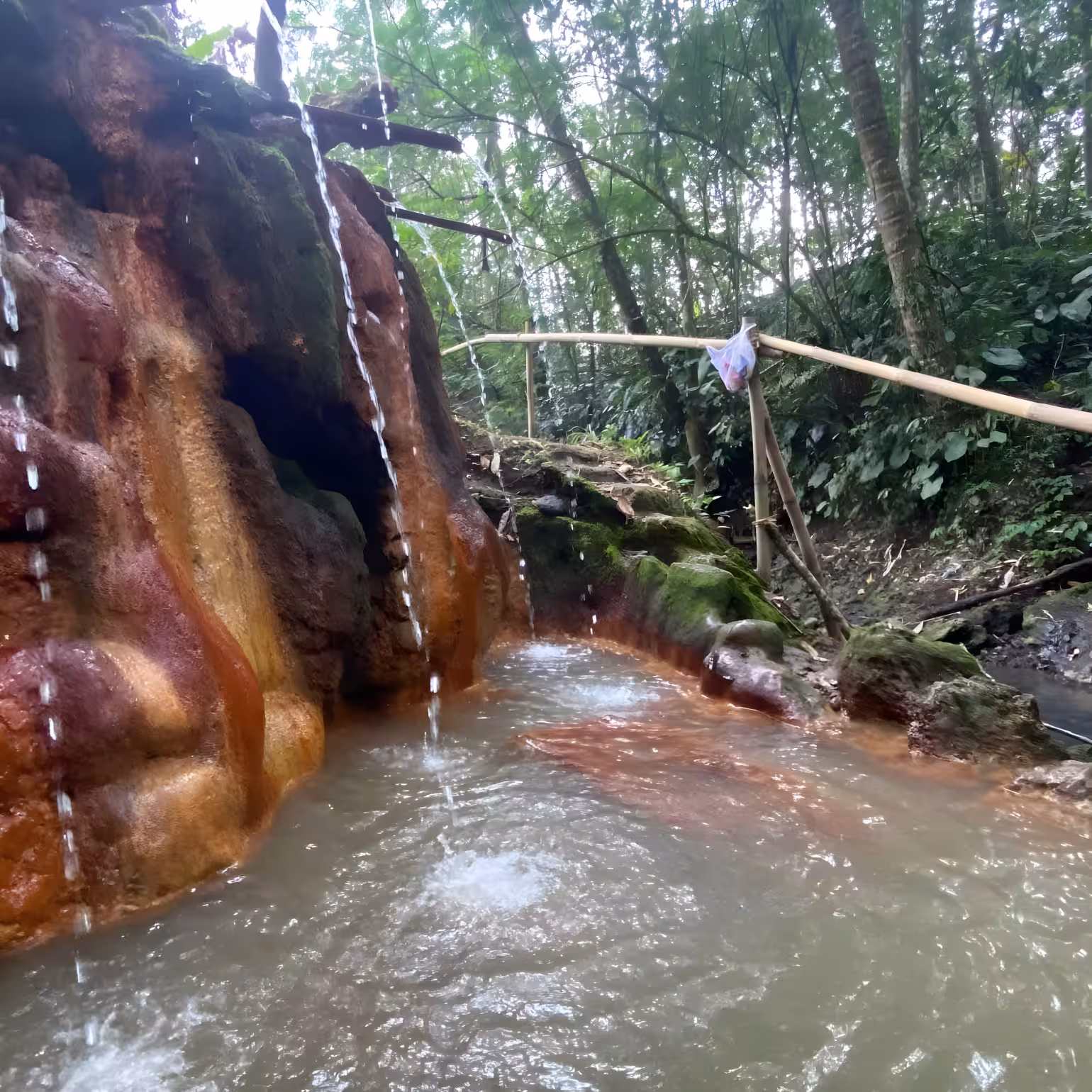 Дом, 1 спальня