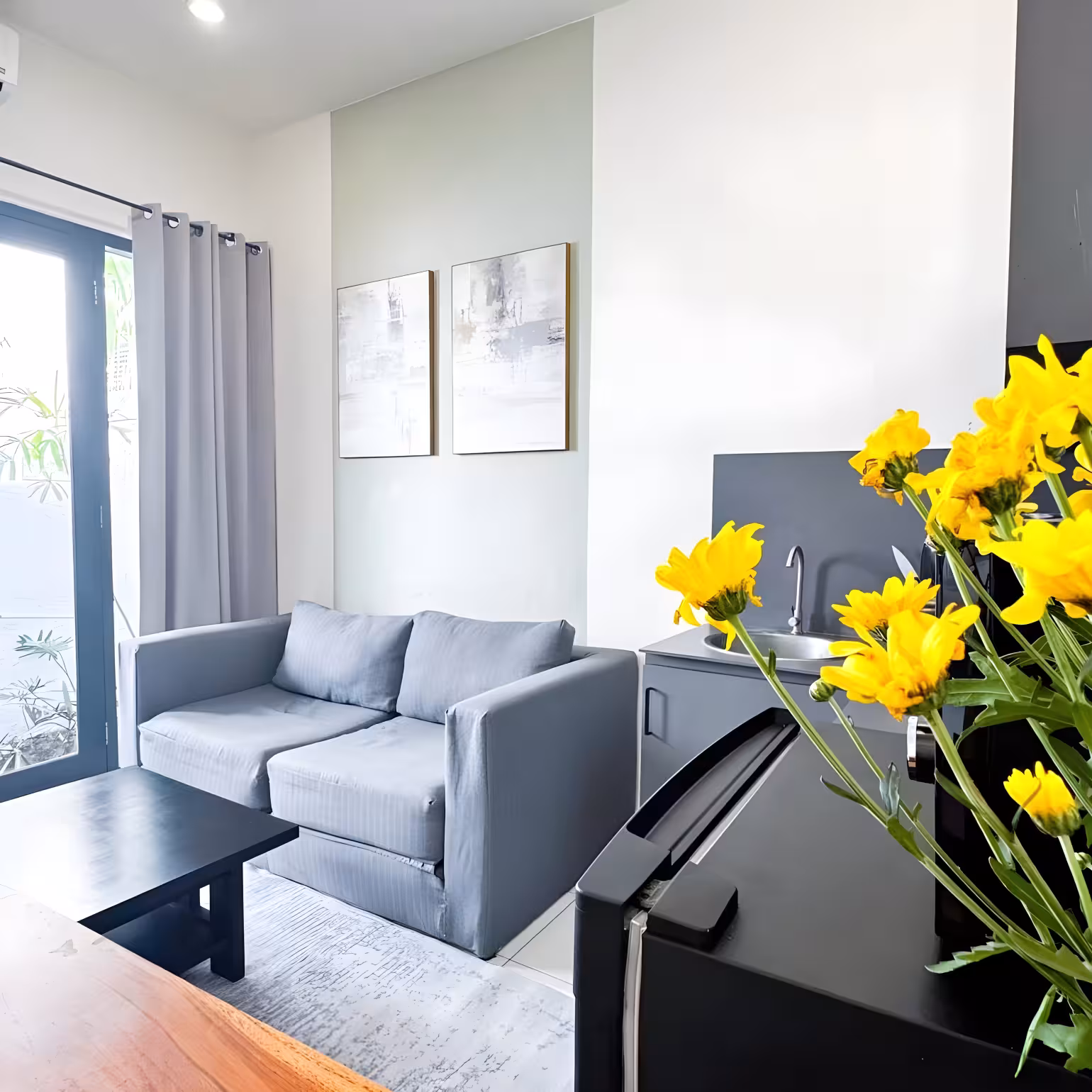 Апартаменты, 1 спальня