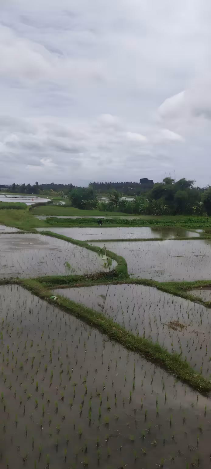 Вилла, 2 спальни