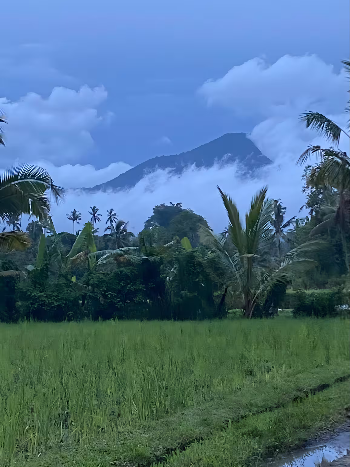 Дом, 1 спальня