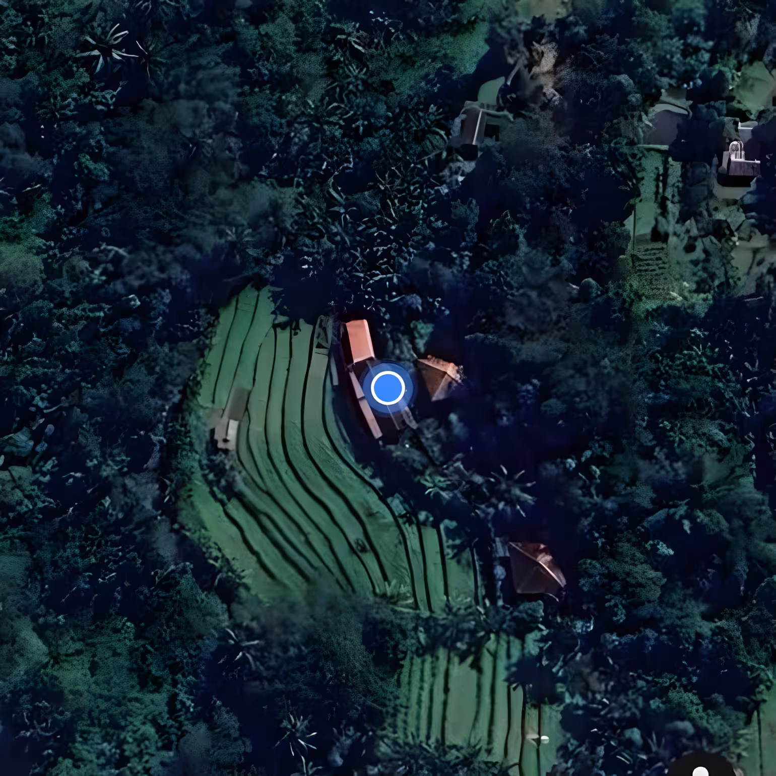 Дом, 1 спальня