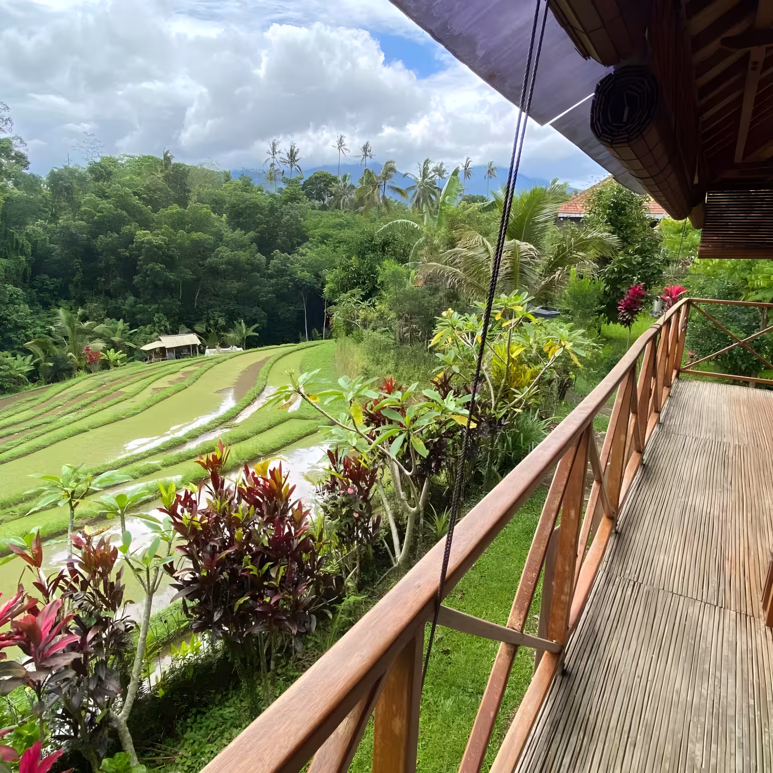 Дом, 1 спальня