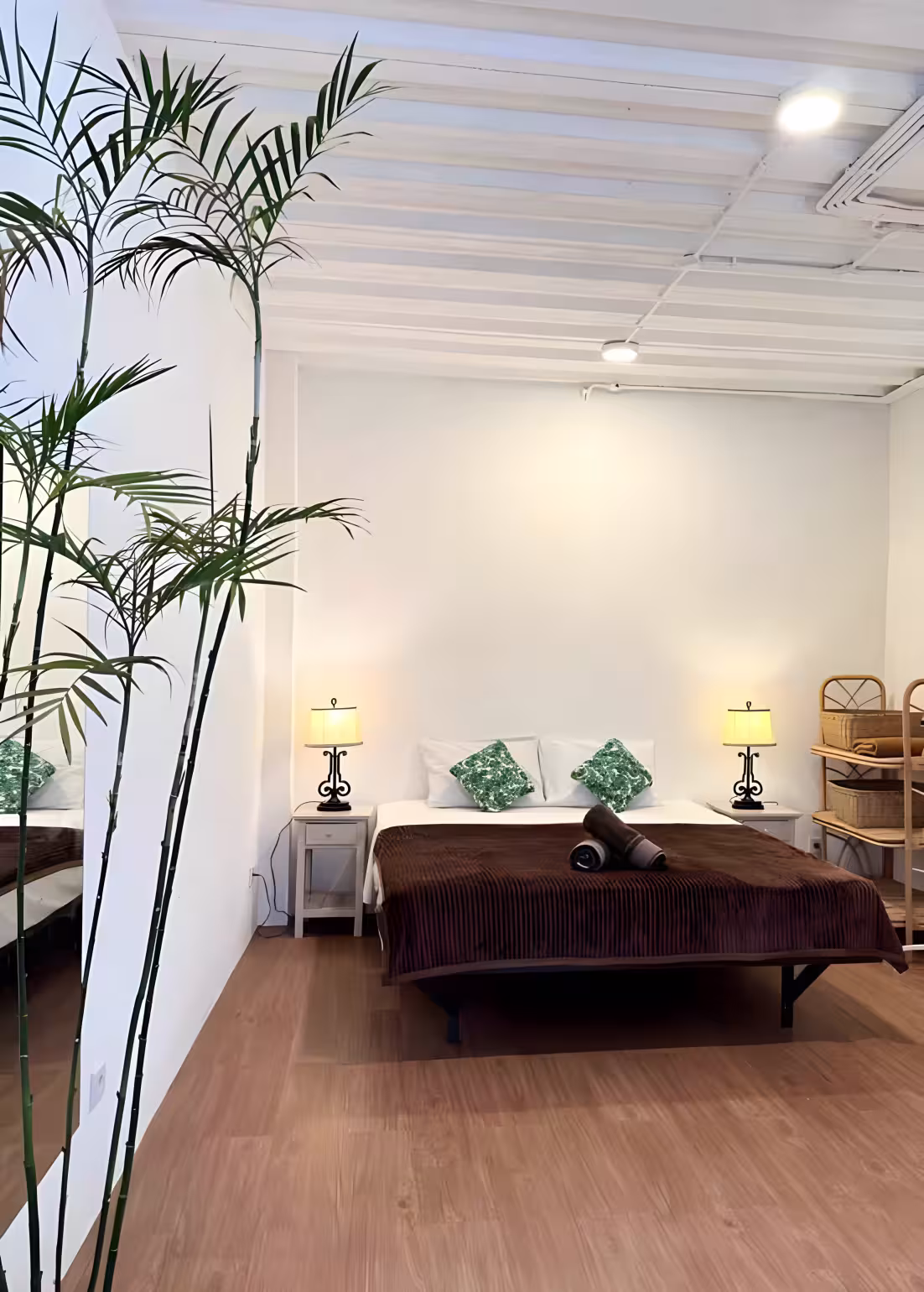 Апартаменты, 1 спальня