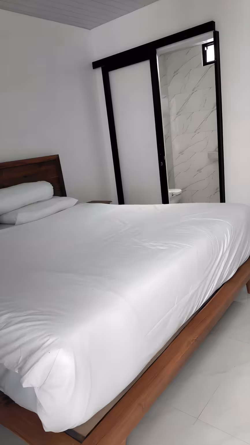 Апартаменты, 1 спальня