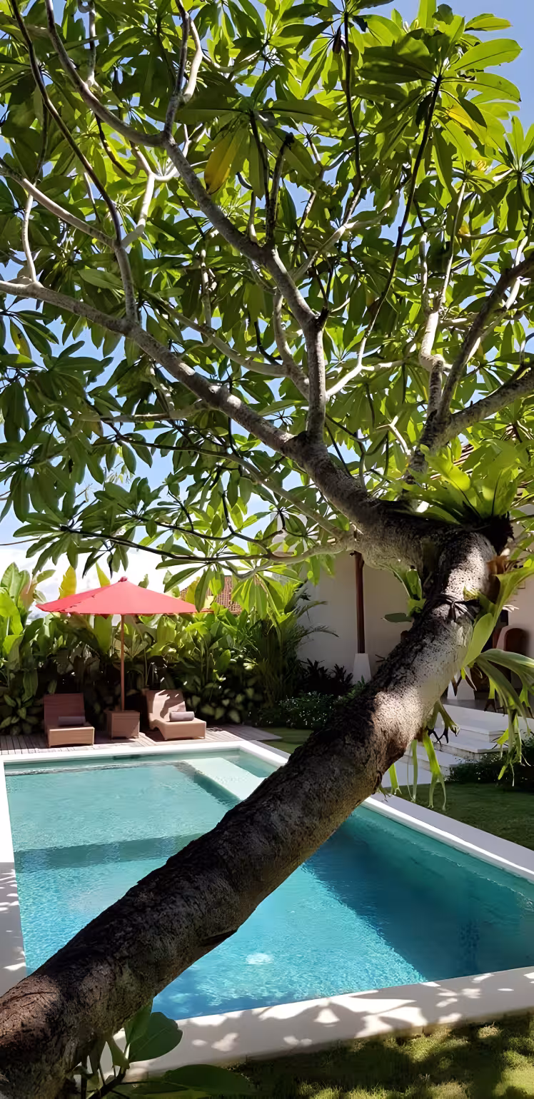 Вилла, 2 спальни