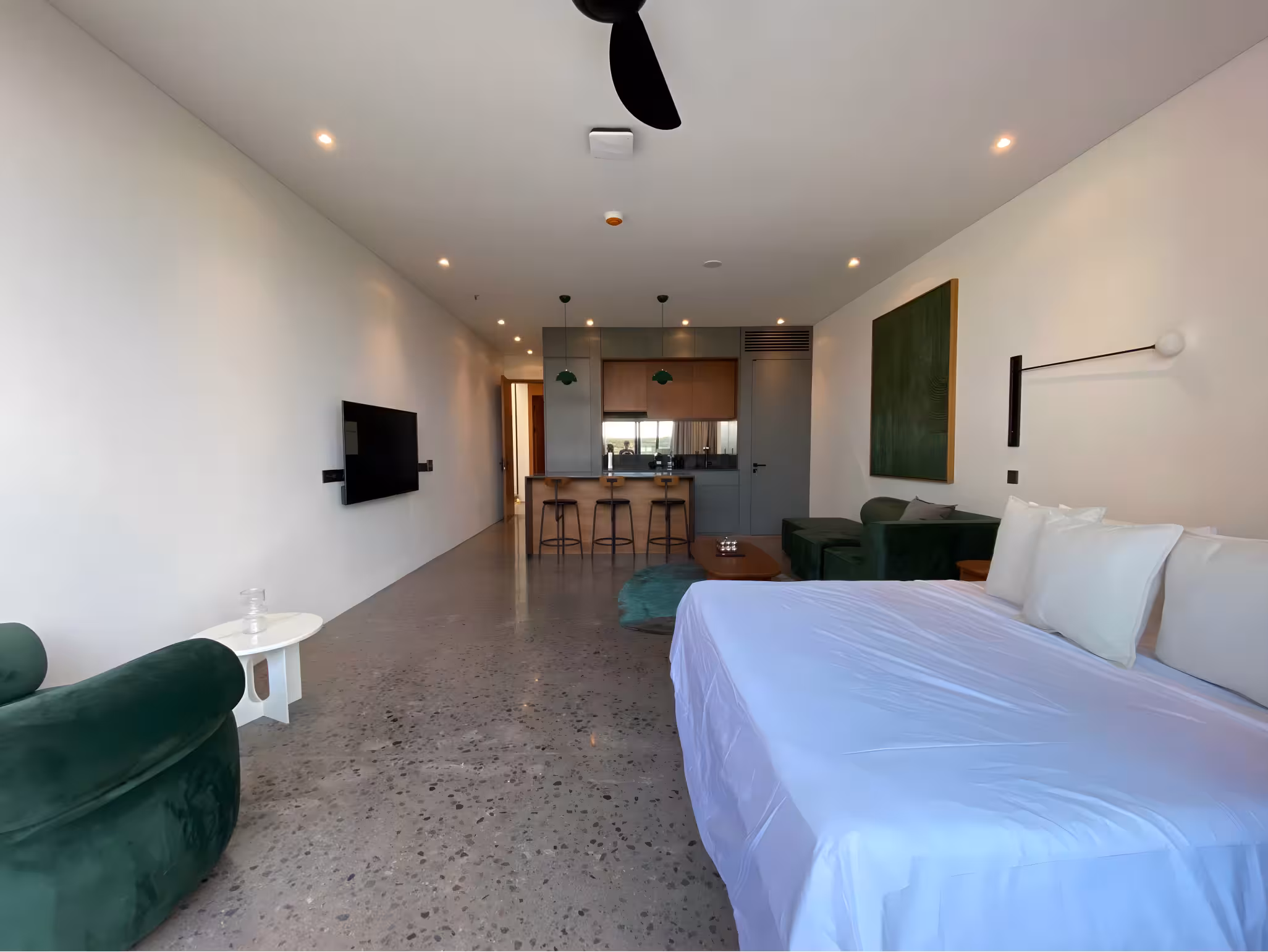 Апартаменты, 1 спальня