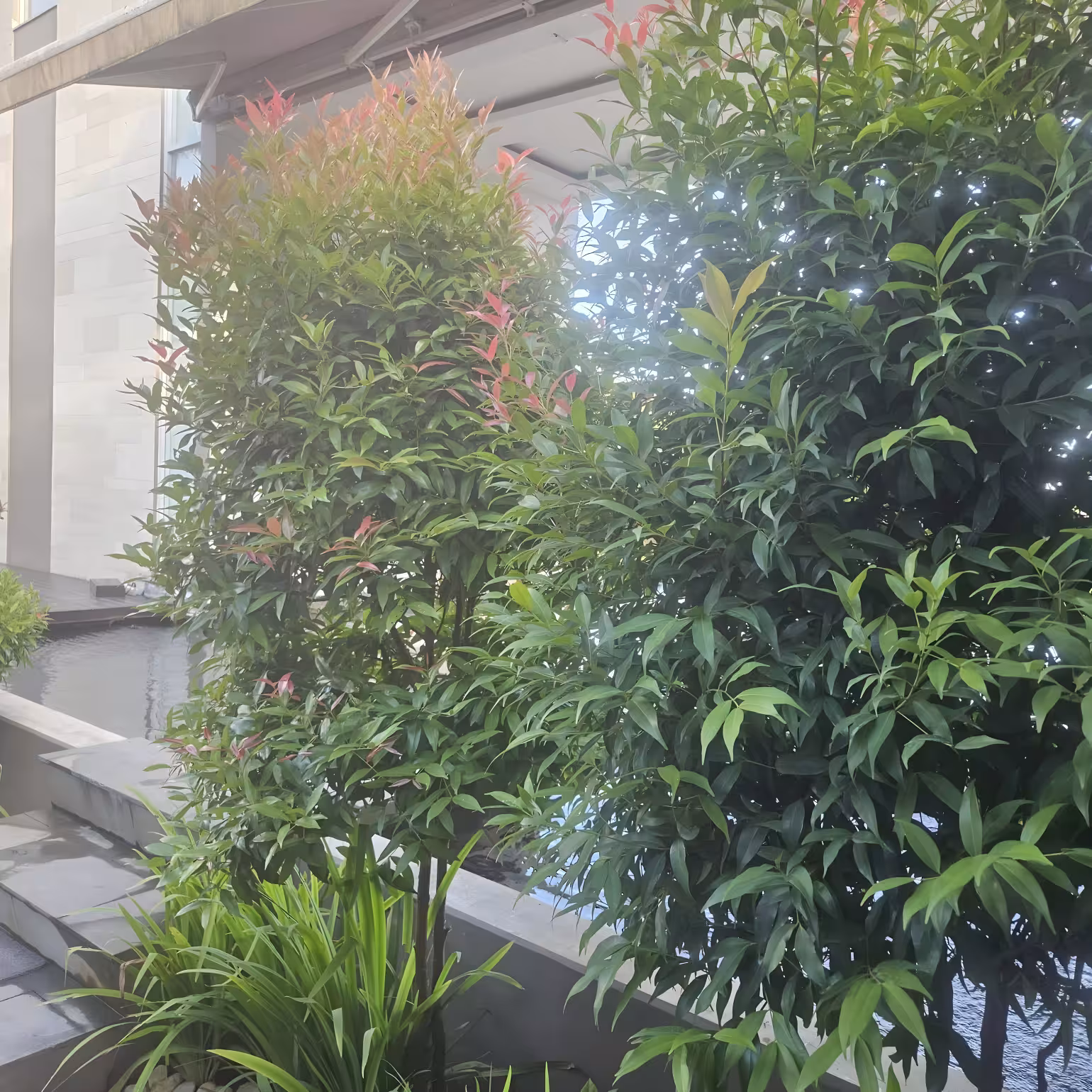 Вилла, 5 спален