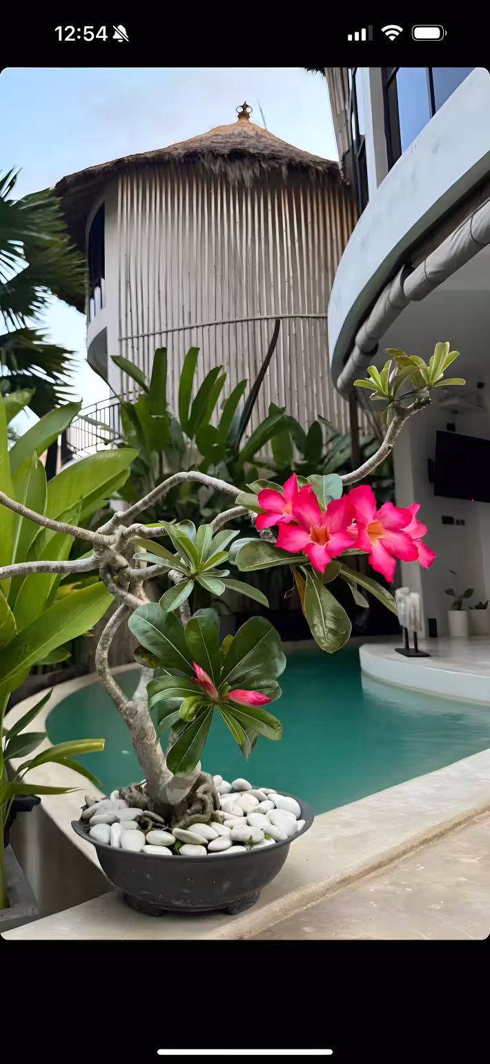 Вилла, 3 спальни