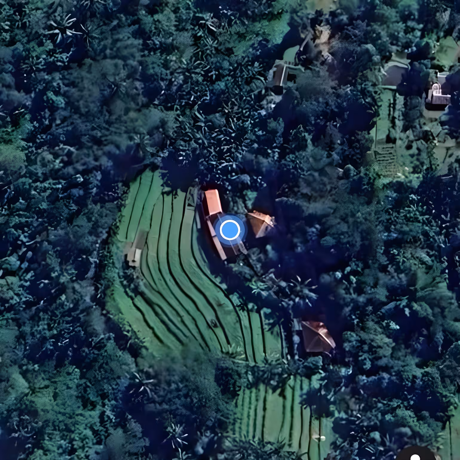 Дом, 1 спальня