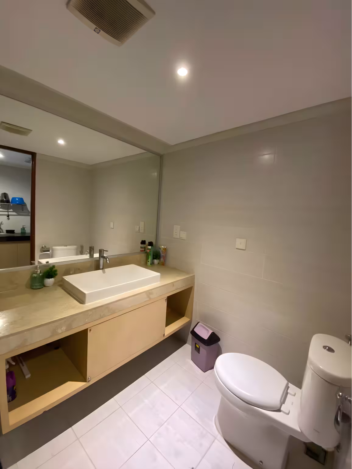 Апартаменты, 1 спальня