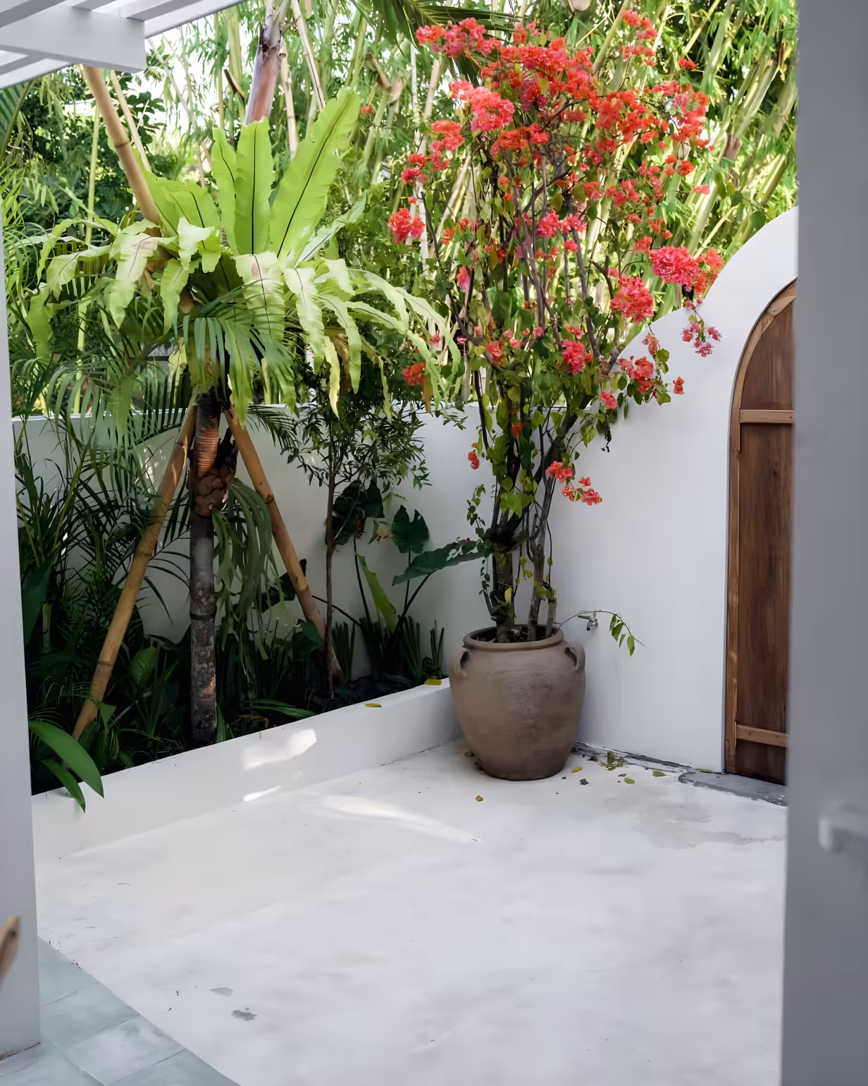 Апартаменты, 1 спальня