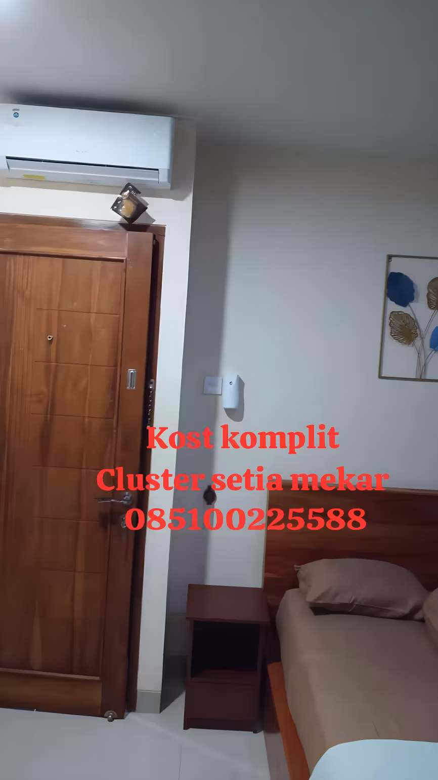 Апартаменты, 1 спальня