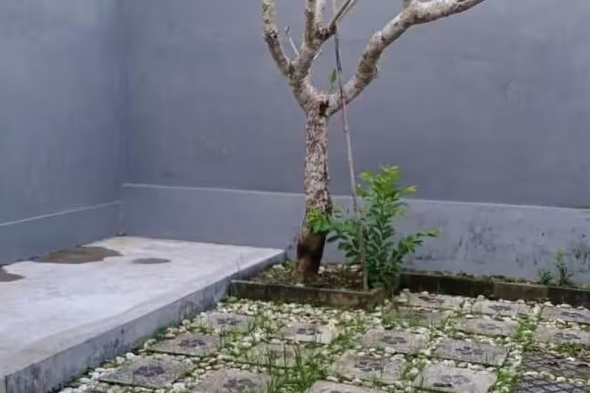 Дом, 2 спальни