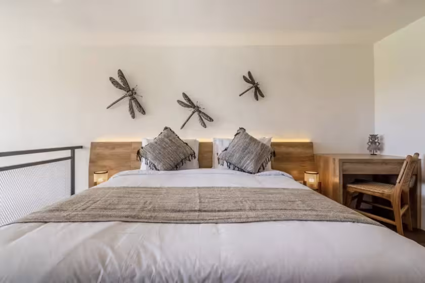 Апартаменты, 1 спальня