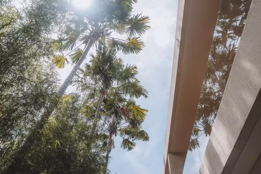 Апартаменты, 1 спальня