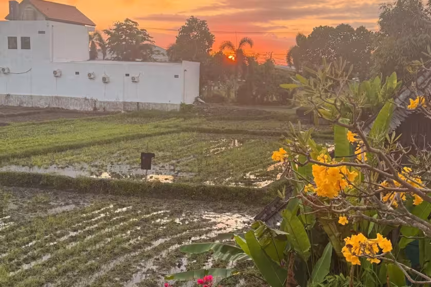 Дом, 1 спальня