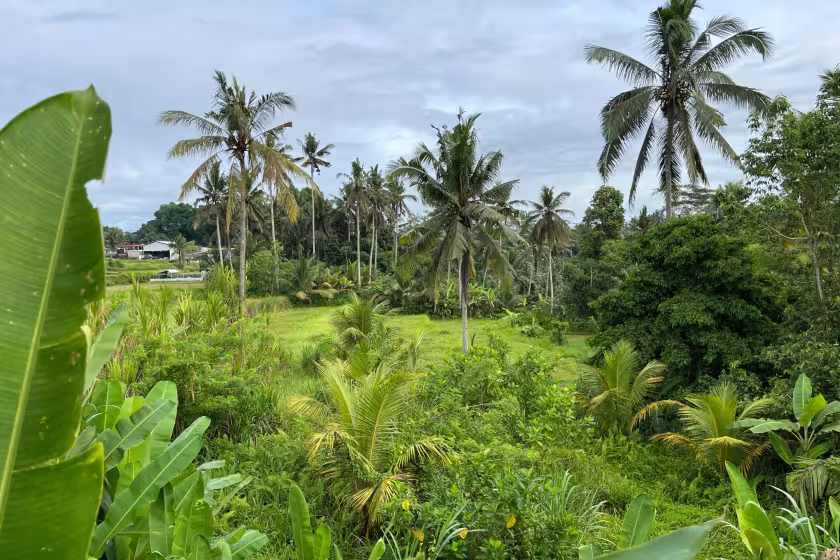 Дом, 1 спальня