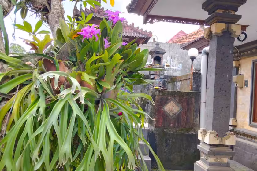 Дом, 5 спален