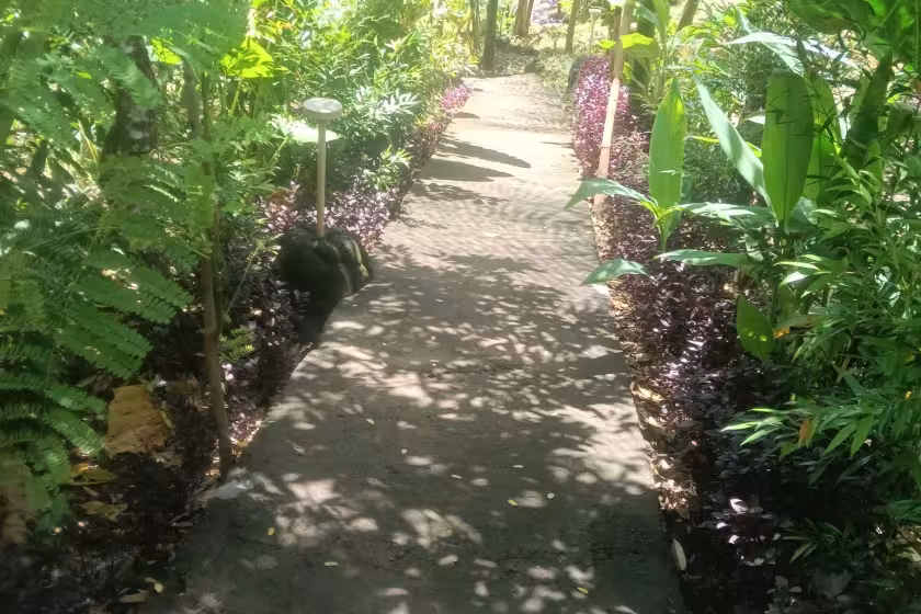 Вилла, 2 спальни