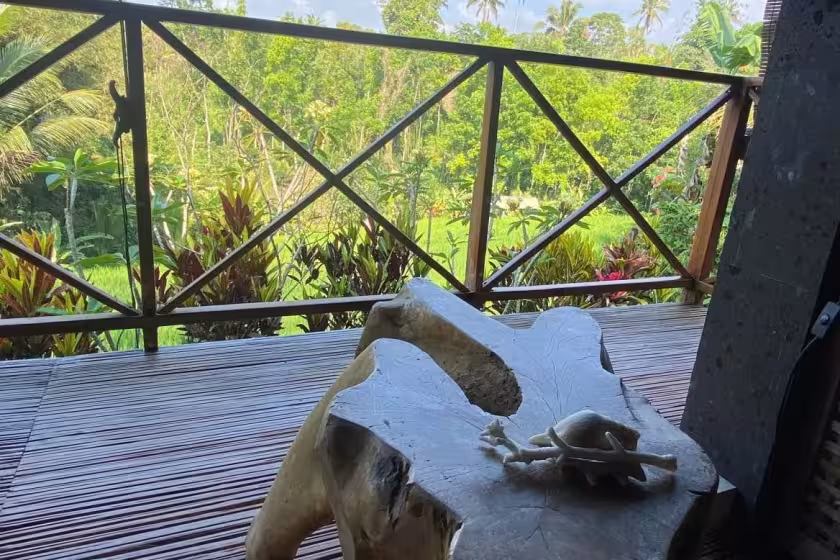 Дом, 1 спальня