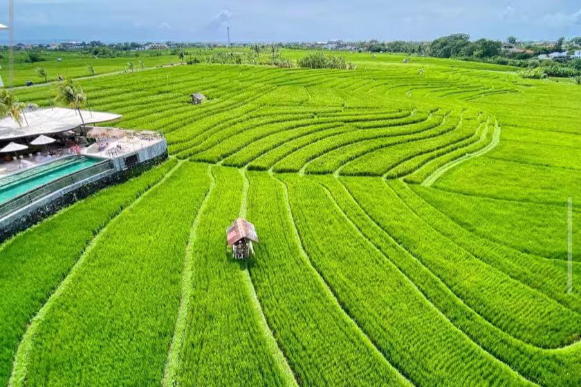 Апартаменты