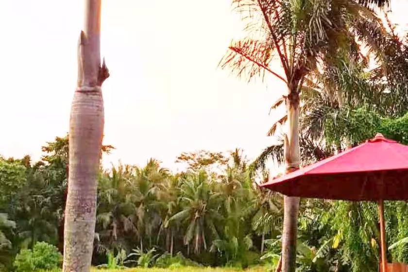 Вилла, 2 спальни