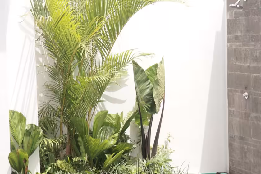 Вилла, 1 спальня