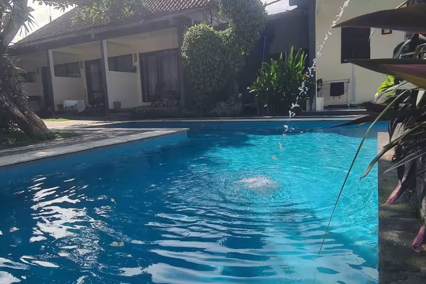 Апартаменты, 1 спальня