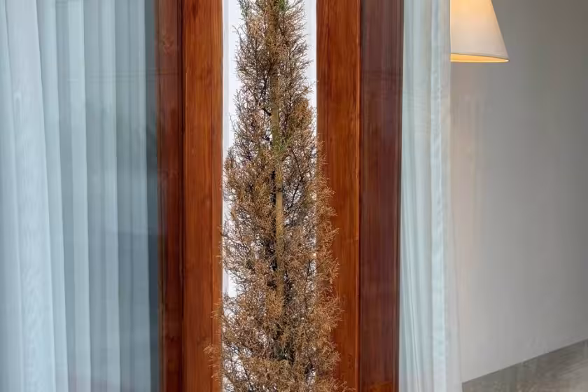 Вилла, 2 спальни