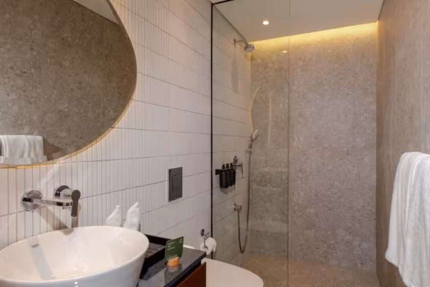 Апартаменты, 1 спальня