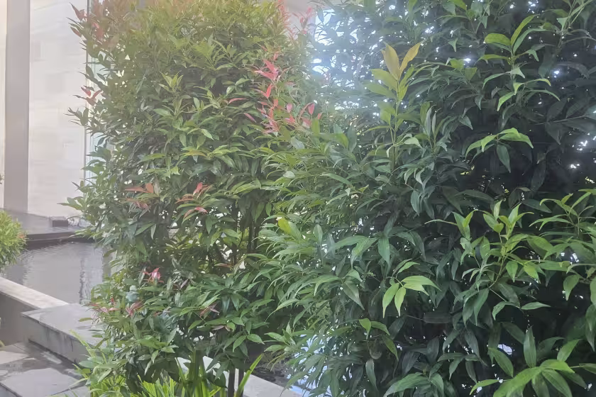 Вилла, 5 спален