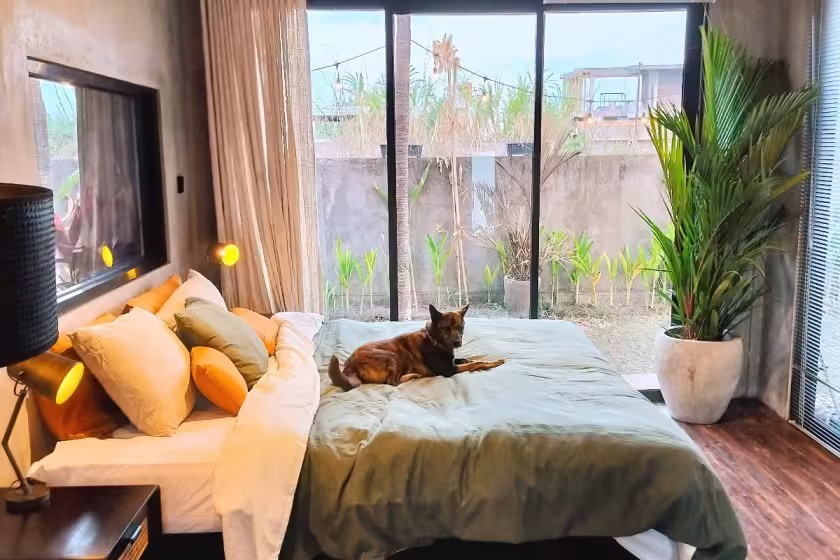 Вилла, 1 спальня