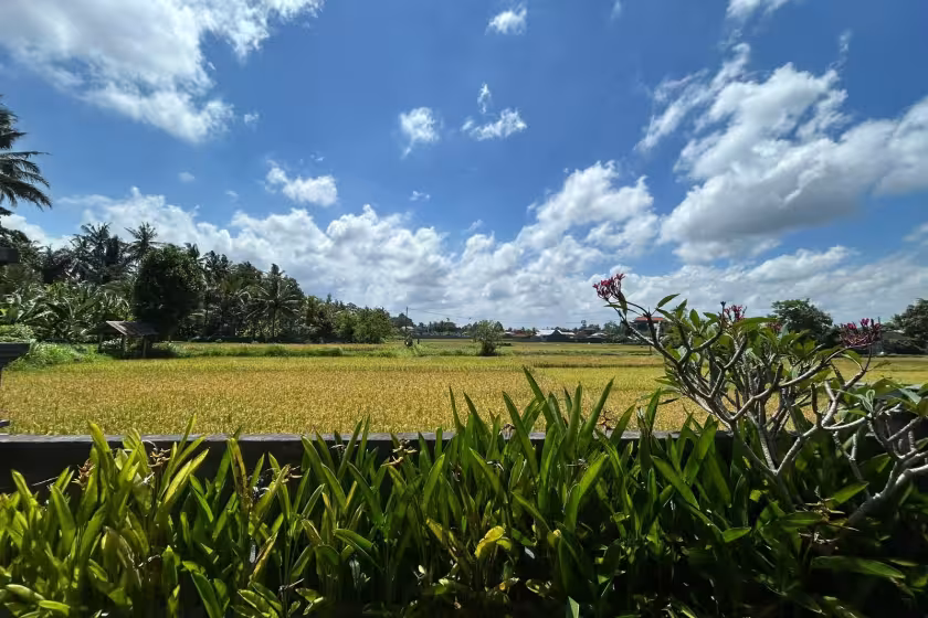 Вилла, 1 спальня