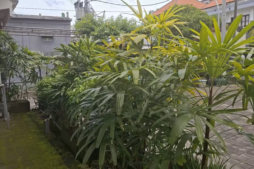 Дом, 1 спальня